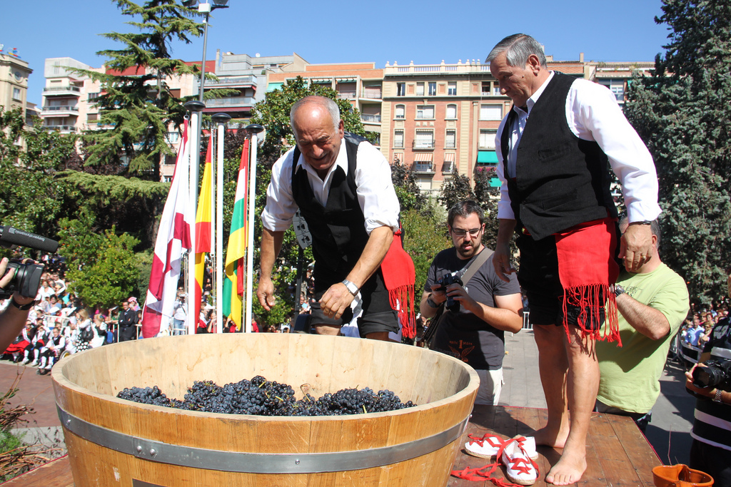 Rioja Wine Festival
